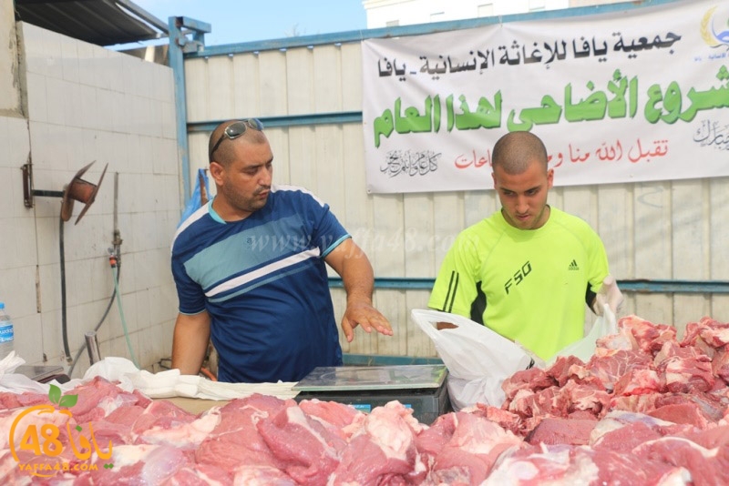 lod8om ada73y (104).JPG